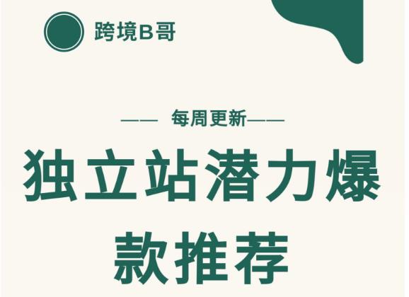 【跨境B哥】独立站潜力爆款选品推荐，测款出单率高达百分之80（每周更新）-阿戒项目库