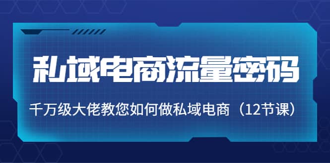 私域电商流量密码：千万级大佬教您如何做私域电商（12节课）-阿戒项目库