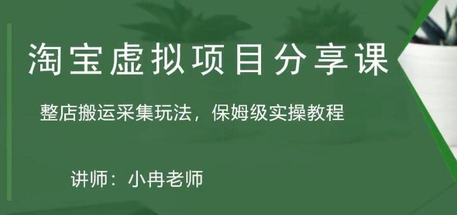 淘宝虚拟整店搬运采集玩法分享课：整店搬运采集玩法，保姆级实操教程-阿戒项目库