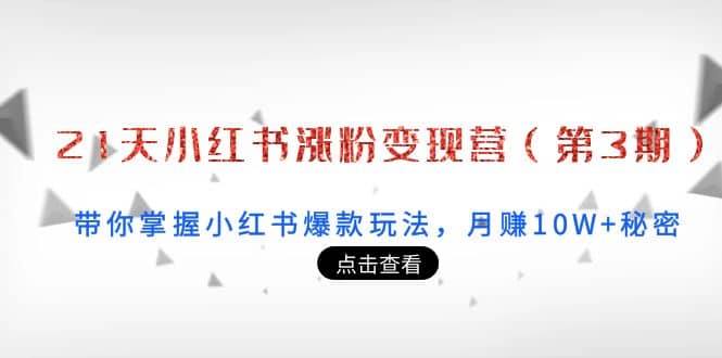 21天小红书涨粉变现营（第3期）：带你掌握小红书爆款玩法，月赚10W 秘密-阿戒项目库