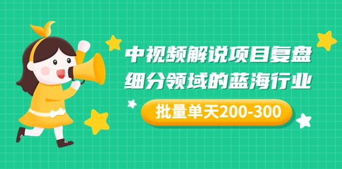 某付费文章：中视频解说项目复盘：细分领域的蓝海行业 批量单天200-300收益-阿戒项目库