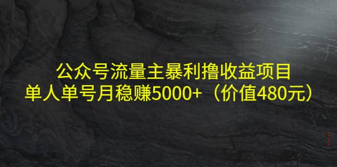 公众号流量主暴利撸收益项目，单人单号月稳赚5000 （价值480元）-阿戒项目库