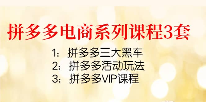 拼多多电商系列课程3套：拼多多三大黑车 拼多多活动玩法 拼多多VIP课程-阿戒项目库