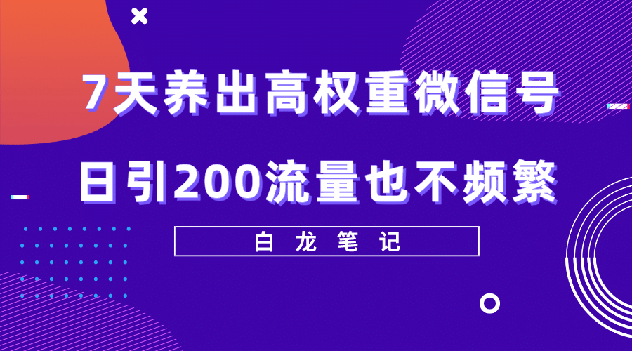 7天养出高权重微信号，日引200流量也不频繁，方法价值3680元-阿戒项目库