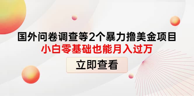 国外问卷调查等2个暴力撸美元项目，小白零基础也能月入过万-阿戒项目库