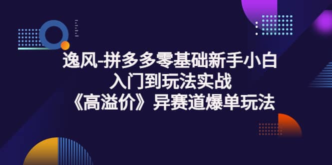 拼多多零基础新手小白入门到玩法实战《高溢价》异赛道爆单玩法实操课-阿戒项目库