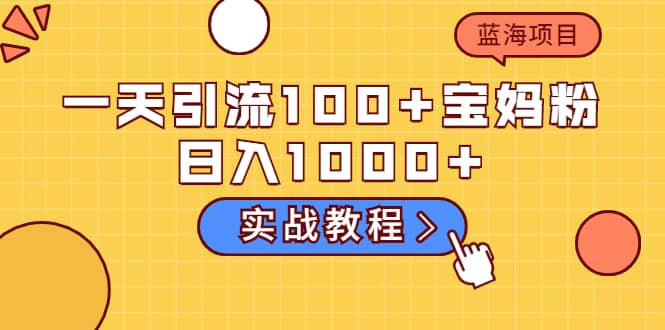 一天引流100 宝妈粉，日入1000 的蓝海项目（实战教程）-阿戒项目库