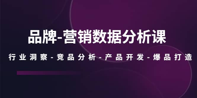 品牌-营销数据分析课，行业洞察-竞品分析-产品开发-爆品打造-阿戒项目库