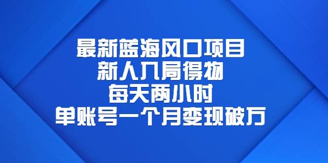 最新蓝海风口项目，新人入局得物，每天两小时，单账号一个月变现破万-阿戒项目库