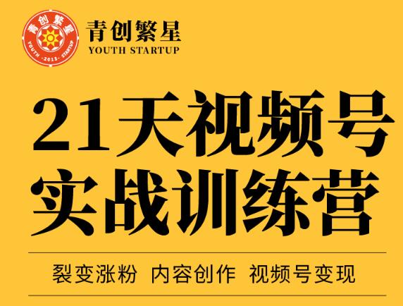 张萌21天视频号实战训练营，裂变涨粉、内容创作、视频号变现 价值298元-阿戒项目库