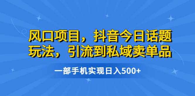 风口项目，抖音今日话题玩法，引流到私域卖单品，一部手机实现日入500-阿戒项目库