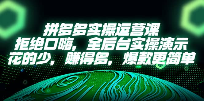 拼多多实操运营课：拒绝口嗨，全后台实操演示，花的少，赚得多，爆款更简单-阿戒项目库