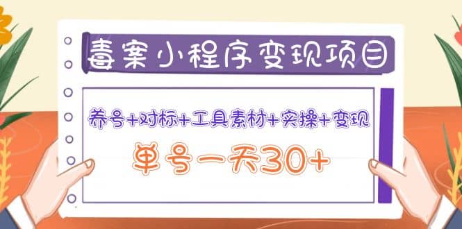 毒案小程序变现项目：养号 对标 工具素材 实操 变现-阿戒项目库