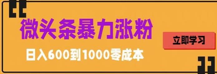 微头条暴力涨粉技巧搬运文案就能涨几万粉丝，简单0成本，日赚600-阿戒项目库