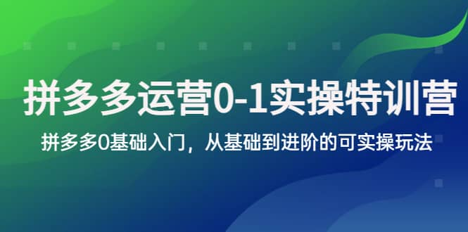 拼多多-运营0-1实操训练营，拼多多0基础入门，从基础到进阶的可实操玩法-阿戒项目库