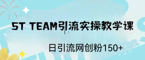 ST TEAM引流实操课，日引流网创粉100-阿戒项目库