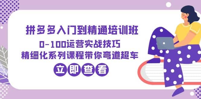 2023拼多多入门到精通培训班：0-100运营实战技巧 精细化系列课带你弯道超车-阿戒项目库