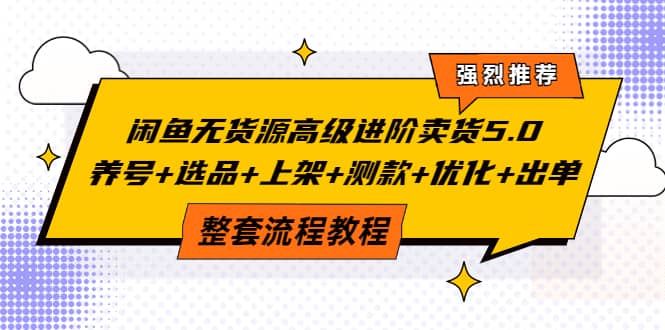 闲鱼无货源高级进阶卖货5.0，养号 选品 上架 测款 优化 出单整套流程教程-阿戒项目库