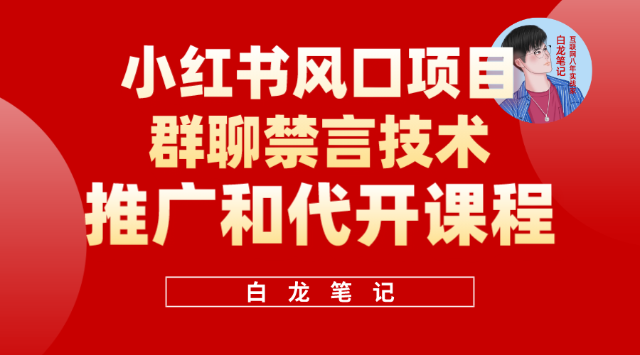 小红书风口项目日入300 ，小红书群聊禁言技术代开项目，适合新手操作-阿戒项目库