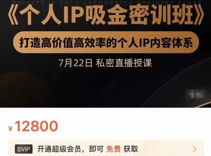 个人IP吸金密训班，打造高价值高效率的个人IP内容体系（价值12800元）-阿戒项目库