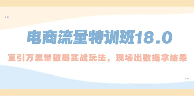 电商流量特训班18.0，直引万流量破局实操玩法，现场出数据拿结果-阿戒项目库