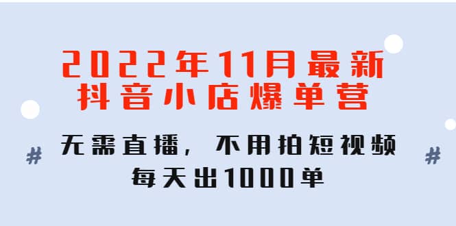 2022年11月最新抖音小店爆单训练营：无需直播，不用拍短视频，每天出1000单-阿戒项目库