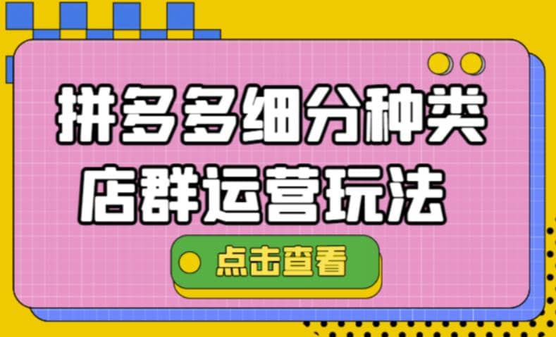 拼多多细分种类店群运营玩法3.0，11月最新玩法，小白也可以操作-阿戒项目库