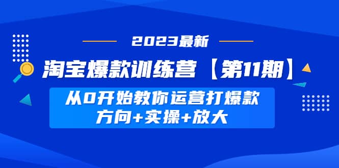 淘宝爆款训练营【第11期】 从0开始教你运营打爆款，方向 实操 放大-阿戒项目库