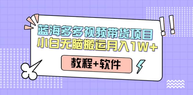 人人都能操作的蓝海多多视频带货项目 小白无脑搬运（教程 软件）-阿戒项目库