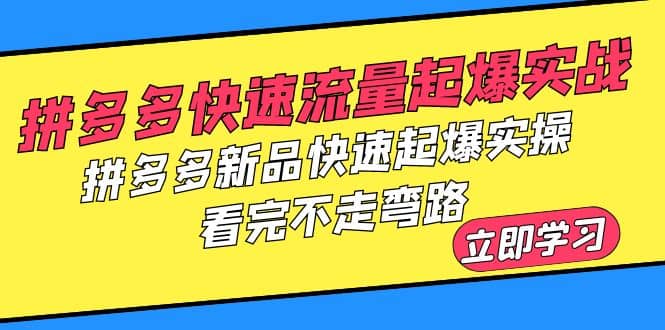 拼多多-快速流量起爆实战，拼多多新品快速起爆实操，看完不走弯路-阿戒项目库