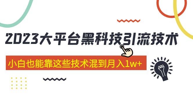 价值4899的2023大平台黑科技引流技术 29节课-阿戒项目库