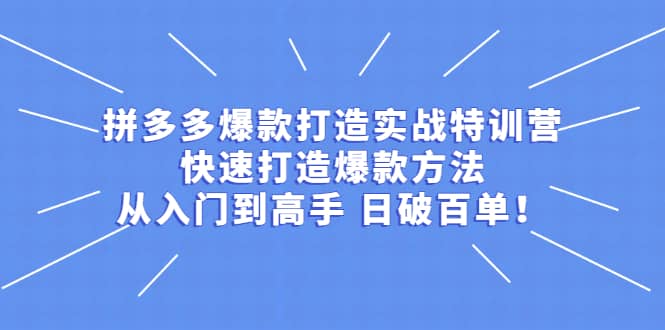 拼多多爆款打造实战特训营：快速打造爆款方法，从入门到高手 日破百单-阿戒项目库