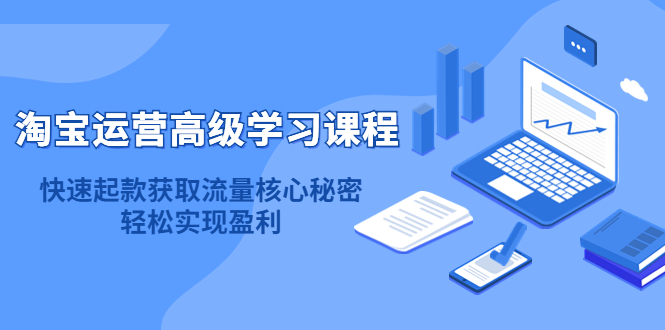 淘宝运营高级学习课程：快速获取流量核心秘密，轻松实现盈利！-阿戒项目库