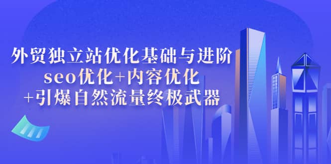 外贸独立站优化基础与进阶，seo优化 内容优化 引爆自然流量终极武器-阿戒项目库