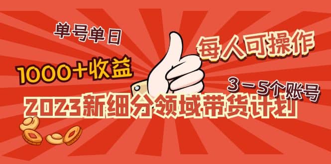 2023新细分领域带货计划：单号单日1000 收益不难，每人可操作3-5个账号-阿戒项目库