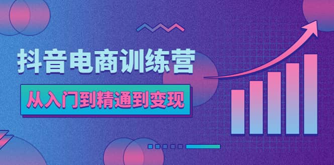 抖音电商训练营：从入门到精通，从账号定位到流量变现，抖店运营实操-阿戒项目库