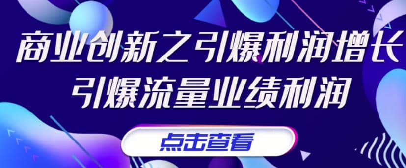 张琦《商业创新之引爆利润增长》引爆流量业绩利润-阿戒项目库