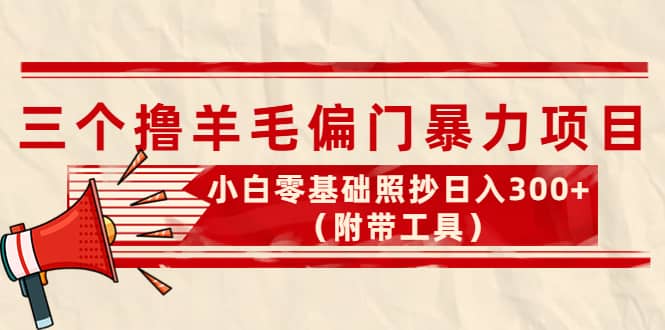 外面卖998的三个撸羊毛项目，小白零基础照抄（附带工具）-阿戒项目库