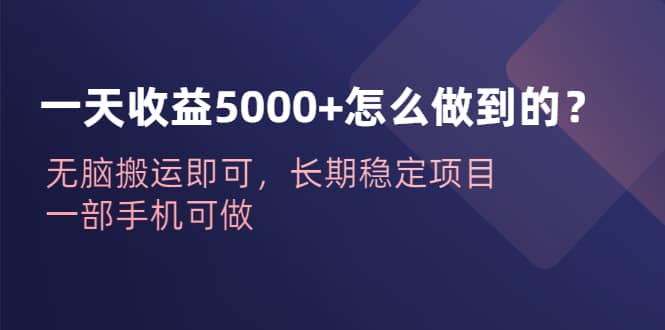 一天收益5000 怎么做到的？无脑搬运即可，长期稳定项目，一部手机可做-阿戒项目库