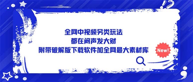 全网中视频另类玩法，都在闷声发大财，附带下载软件加全网最大素材库-阿戒项目库