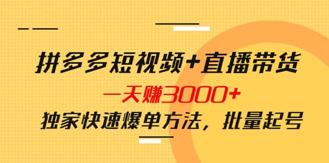 拼多多短视频 直播带货，一天赚3000 独家快速爆单方法，批量起号-阿戒项目库