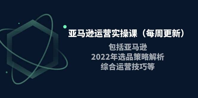 亚马逊运营实操课（每周更新）包括亚马逊2022选品策略解析，综合运营技巧等-阿戒项目库