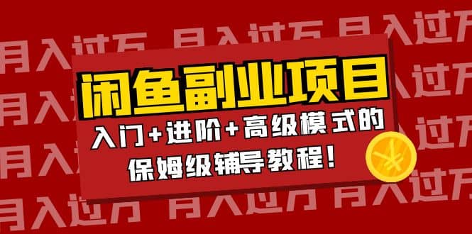 月入过万闲鱼副业项目：入门 进阶 高级模式的保姆级辅导教程-阿戒项目库