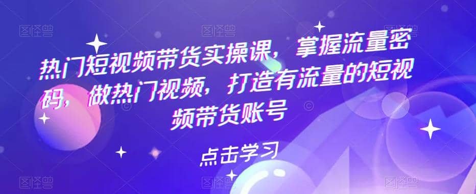 热门短视频带货实战 掌握流量密码 做热门视频 打造有流量的短视频带货账号-阿戒项目库