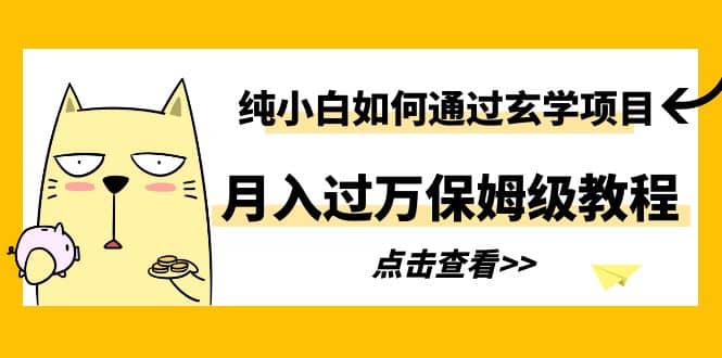 纯小白如何通过玄学项目月入过万保姆级教程-阿戒项目库