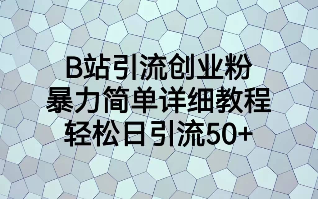 B站引流创业粉，暴力简单详细教程，轻松日引流50-阿戒项目库