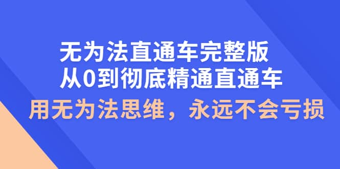 无为法直通车完整版：从0到彻底精通直通车，用无为法思维，永远不会亏损-阿戒项目库