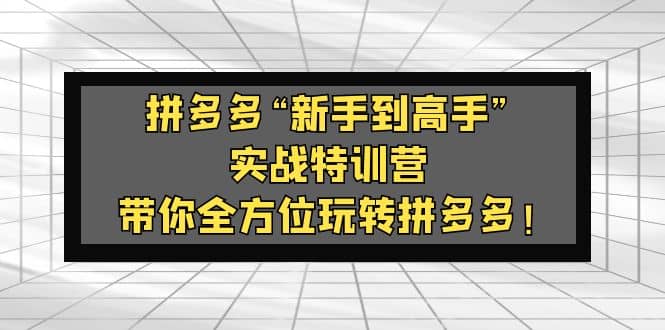 拼多多“新手到高手”实战特训营：带你全方位玩转拼多多-阿戒项目库