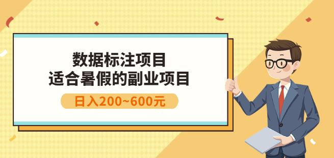 副业赚钱：人工智能数据标注项目，简单易上手，小白也能日入200-阿戒项目库