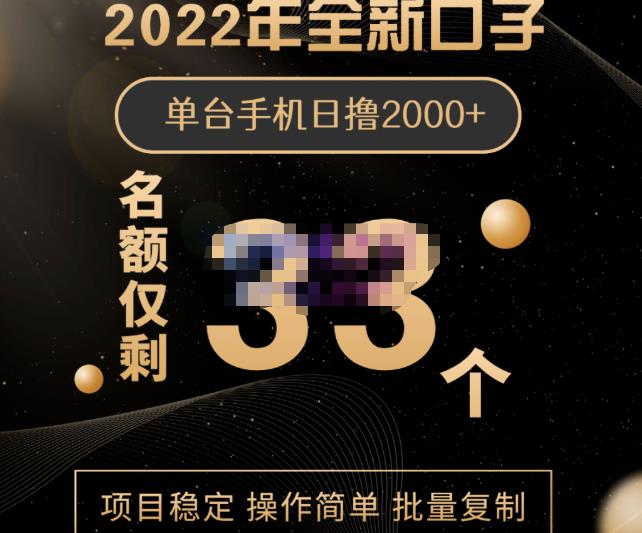 2022年全新口子，手机批量搬砖玩法，一部手机日撸2000-阿戒项目库